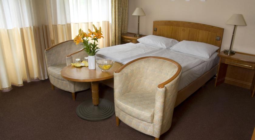 Dr. Adler Spa Hotel — Франтішкови Лазні, Чехія мініатюра 13
