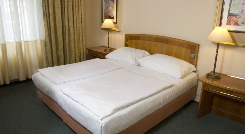 Dr. Adler Spa Hotel — Франтішкови Лазні, Чехія мініатюра 14