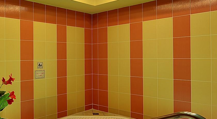 Radium Palace — Яхимов, Чехія мініатюра 44