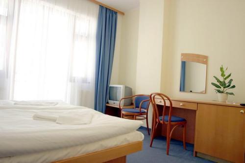 Ruze Hotel — Карлові Вари, Чехія мініатюра 9