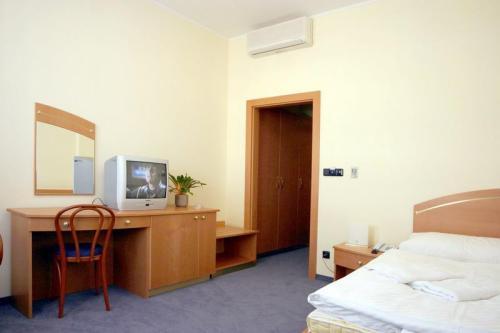 Ruze Hotel — Карлові Вари, Чехія мініатюра 11
