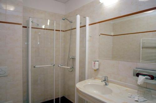 Ruze Hotel — Карлові Вари, Чехія мініатюра 14