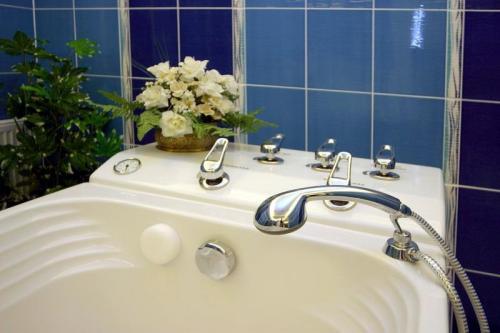 Ruze Hotel — Карлові Вари, Чехія мініатюра 16