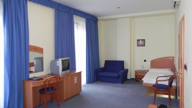 Ruze Hotel — Карлові Вари, Чехія мініатюра 17