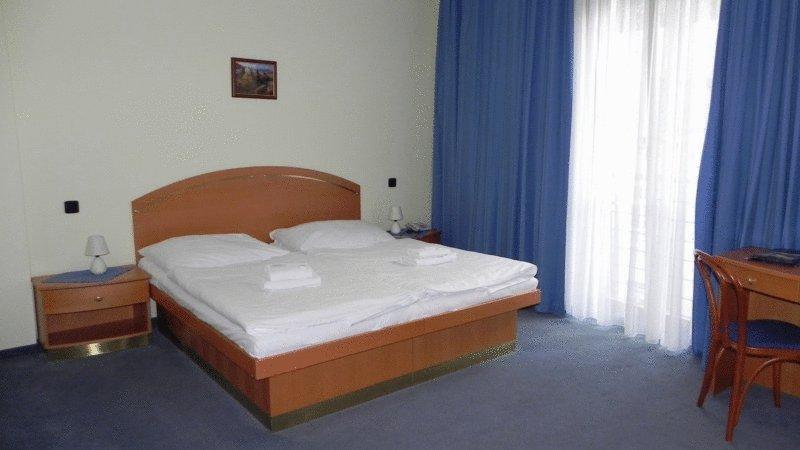 Ruze Hotel — Карлові Вари, Чехія мініатюра 18