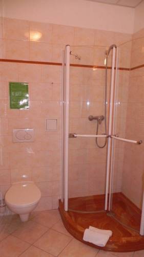 Ruze Hotel — Карлові Вари, Чехія мініатюра 19