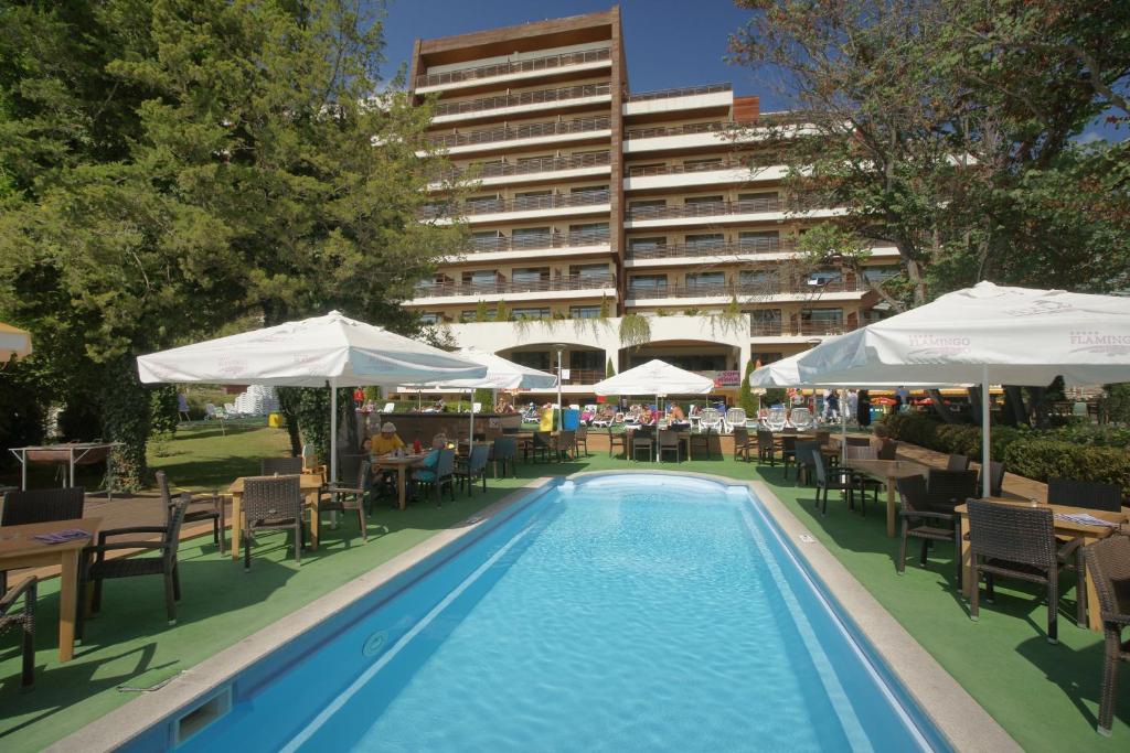 Flamingo — Албена, Болгарія мініатюра 48