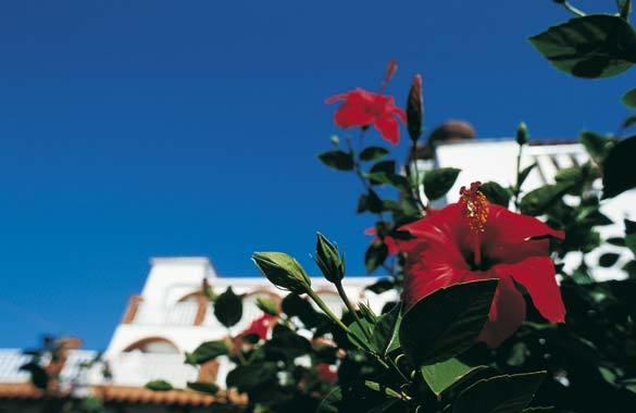 La Scogliera Hotel — о. Іскья, Італія мініатюра 45