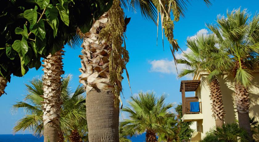 Grecotel Marine Palace & Aqua Park — о. Крит, Греція мініатюра 196