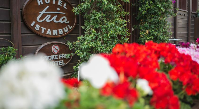 Tria Hotel Istanbul — Стамбул, Туреччина мініатюра 37