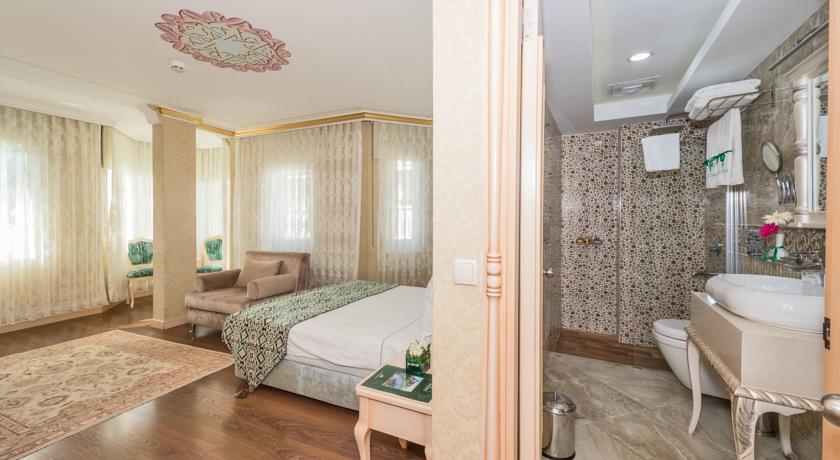 Amiral Palace Hotel — Стамбул, Туреччина мініатюра 18
