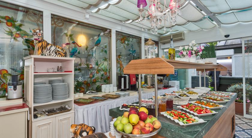 Amiral Palace Hotel — Стамбул, Туреччина мініатюра 27