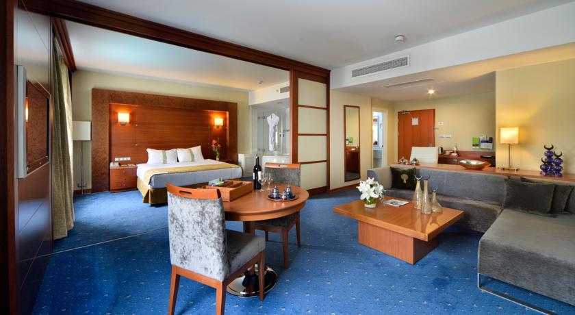 Holiday Inn Istanbul City — Стамбул, Туреччина мініатюра 26