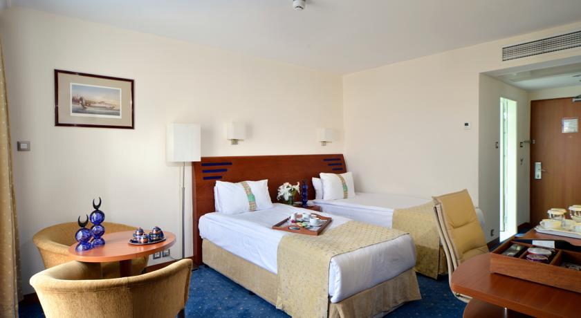 Holiday Inn Istanbul City — Стамбул, Туреччина мініатюра 28