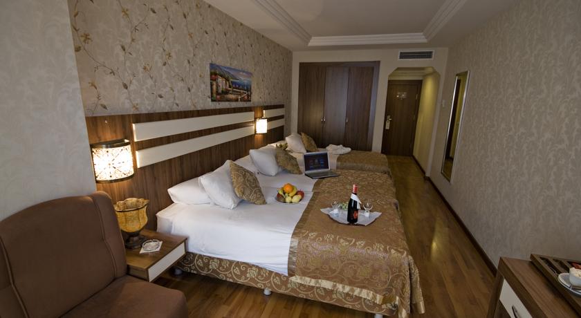 Aspen Hotel — Стамбул, Туреччина мініатюра 10