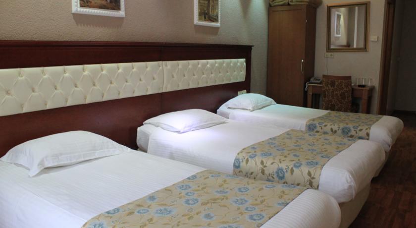 Asur Hotel, Стамбул, Туреччина мініатюра 19