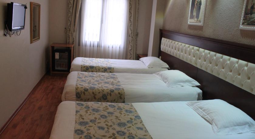 Asur Hotel, Стамбул, Туреччина мініатюра 32