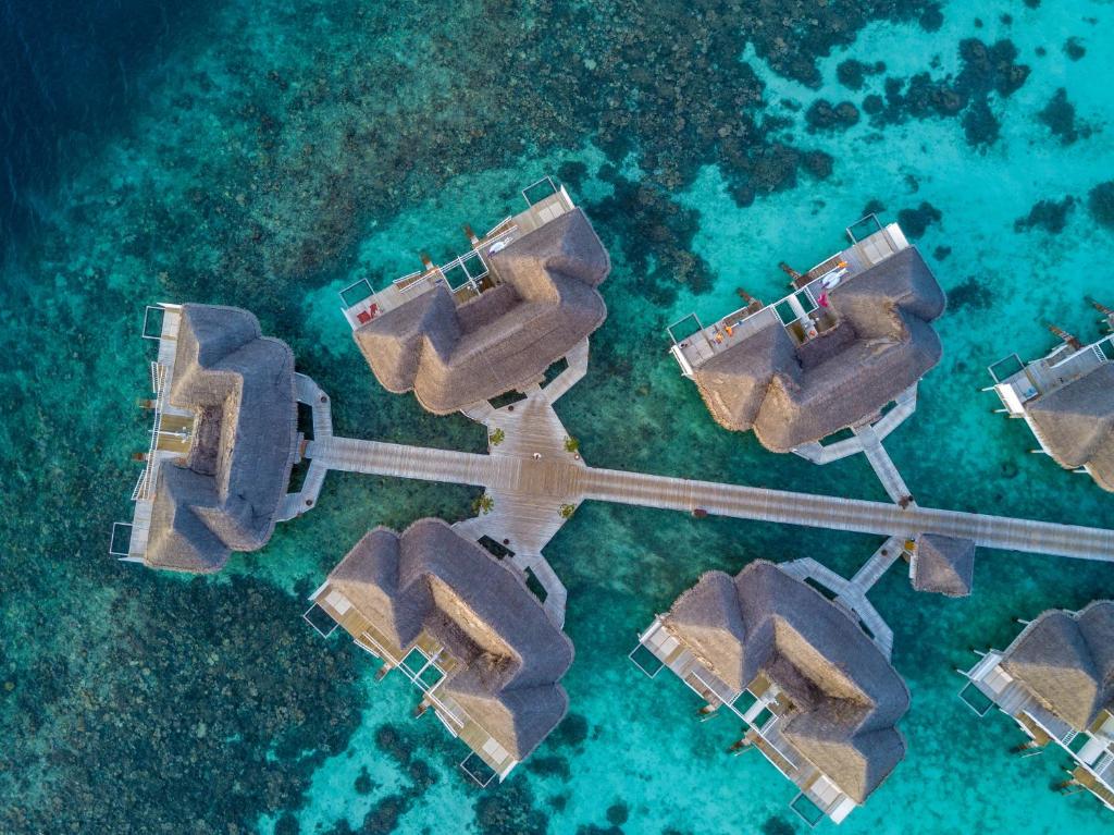 Centara Grand Island Resort & Spa Maldives — Арі (Аліфу) атол, Мальдіви мініатюра 47