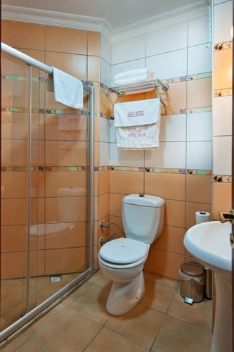 Agan Hotel — Стамбул, Туреччина мініатюра 22