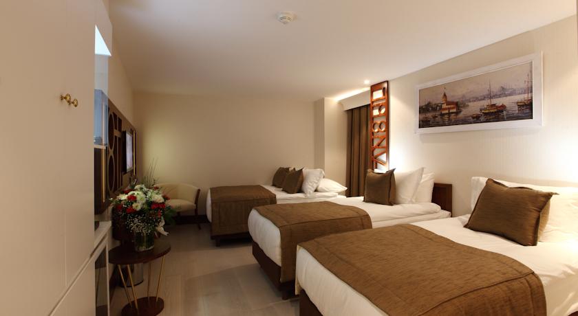 Victory Hotel & Spa Istanbul — Стамбул, Туреччина мініатюра 35