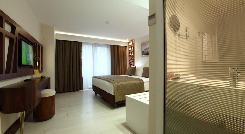 Victory Hotel & Spa Istanbul — Стамбул, Туреччина мініатюра 39