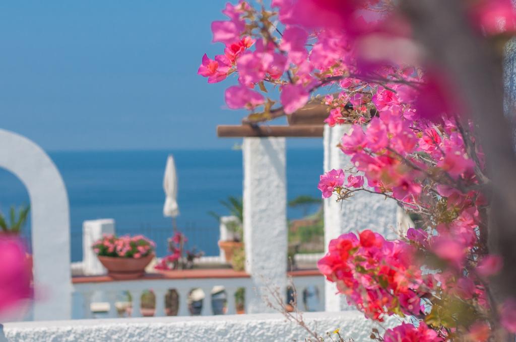 Borgo Romantica Resort & Spa — о. Іскья, Італія мініатюра 28