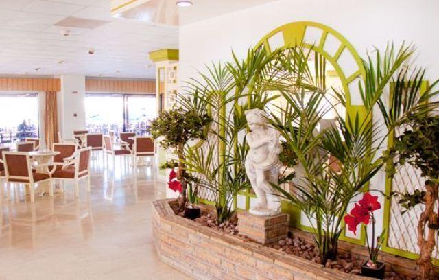 Seagull Hotel Apts — Протарас, Кіпр мініатюра 26