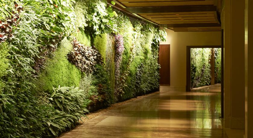 Sofitel Dubai The Palm Resort & Spa — Дубаї, Об'єднані Арабські Емірати мініатюра 250