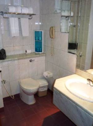 Admiral Plaza Hotel — Дубаї, Об'єднані Арабські Емірати мініатюра 32