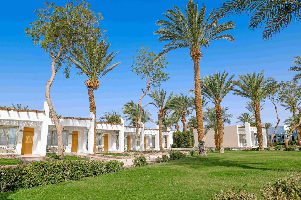 Menaville Safaga Hotel & Resort — Сафага, Єгипет мініатюра 28