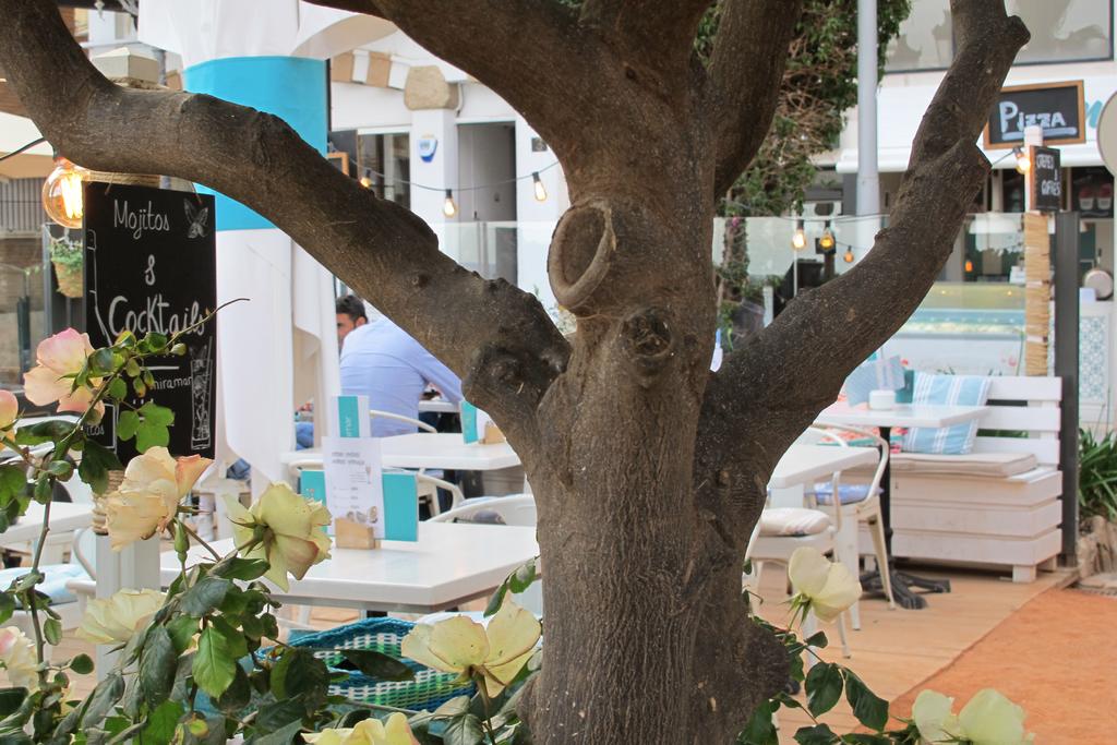 Miramar Hotel Lloret de Mar — Ллорет-де-Мар, Іспанія мініатюра 43