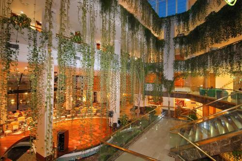 Alexandre Hotel Gala — о. Тенеріфе (Канари), Іспанія мініатюра 26