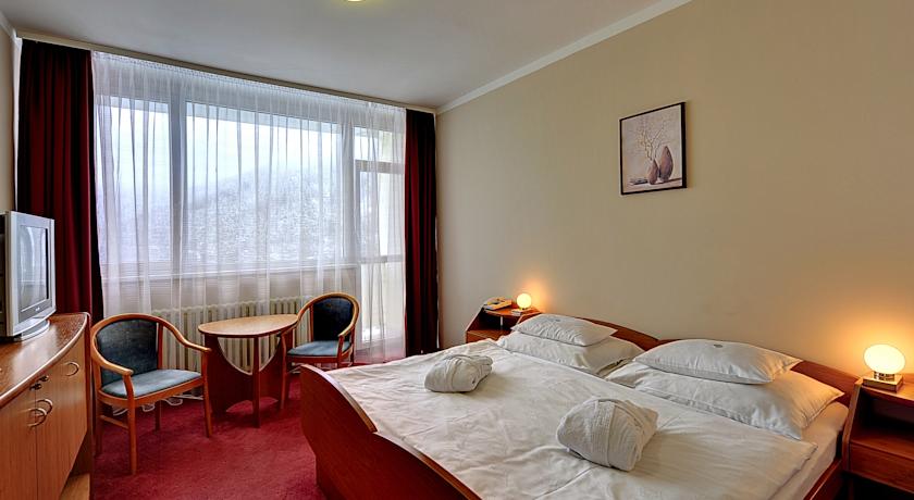 Behounek Hotel — Яхимов, Чехія мініатюра 15