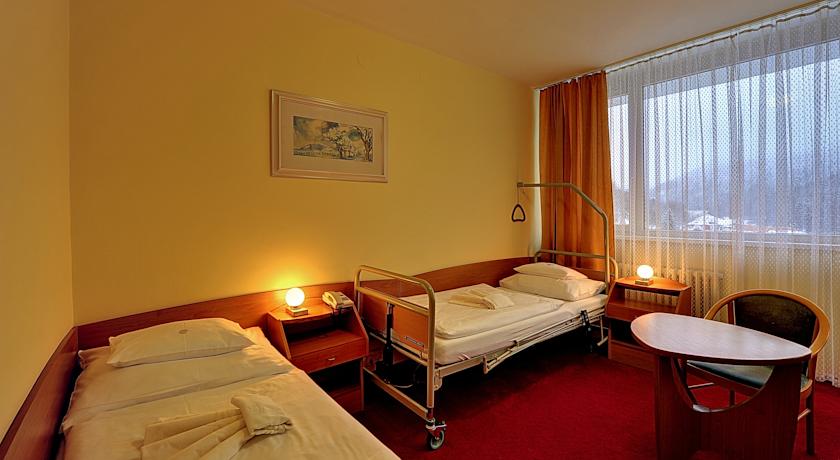 Behounek Hotel — Яхимов, Чехія мініатюра 19