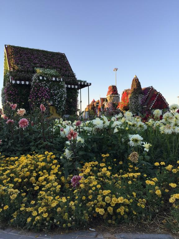 Donatello Hotel Dubai — Дубаї, Об'єднані Арабські Емірати мініатюра 116