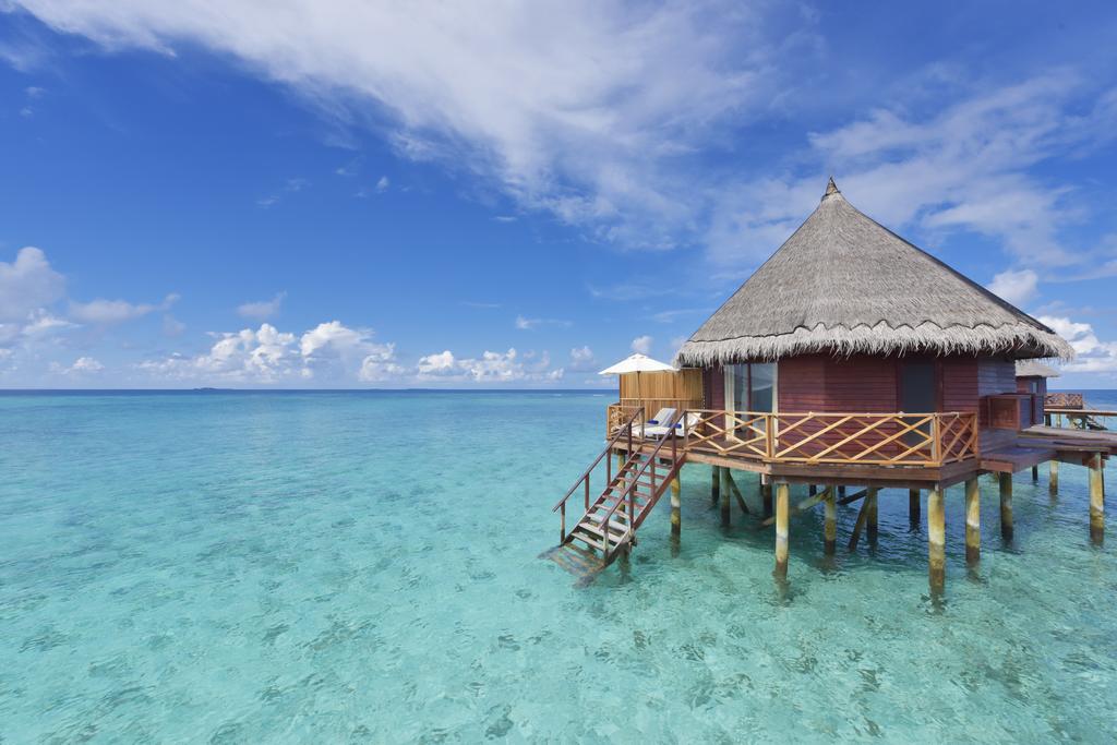 Angaga Island Resort & Spa Mandhoo — Арі (Аліфу) атол, Мальдіви мініатюра 6