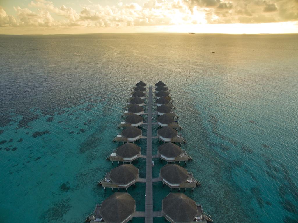 Angaga Island Resort & Spa Mandhoo — Арі (Аліфу) атол, Мальдіви мініатюра 7