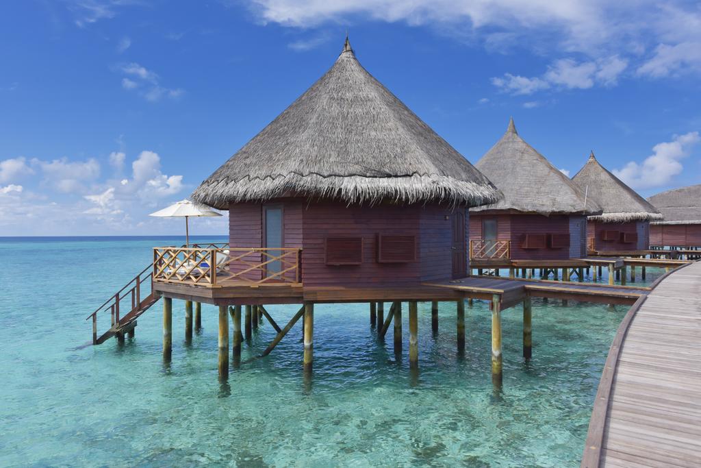Angaga Island Resort & Spa Mandhoo — Арі (Аліфу) атол, Мальдіви мініатюра 13