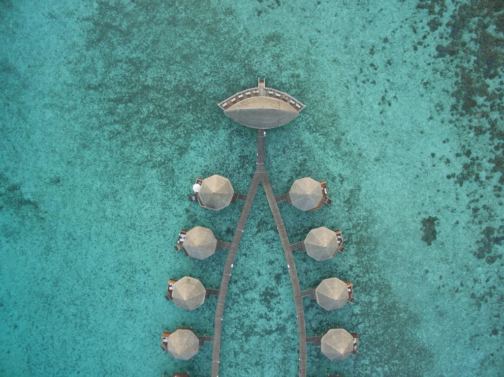 Angaga Island Resort & Spa Mandhoo — Арі (Аліфу) атол, Мальдіви мініатюра 18