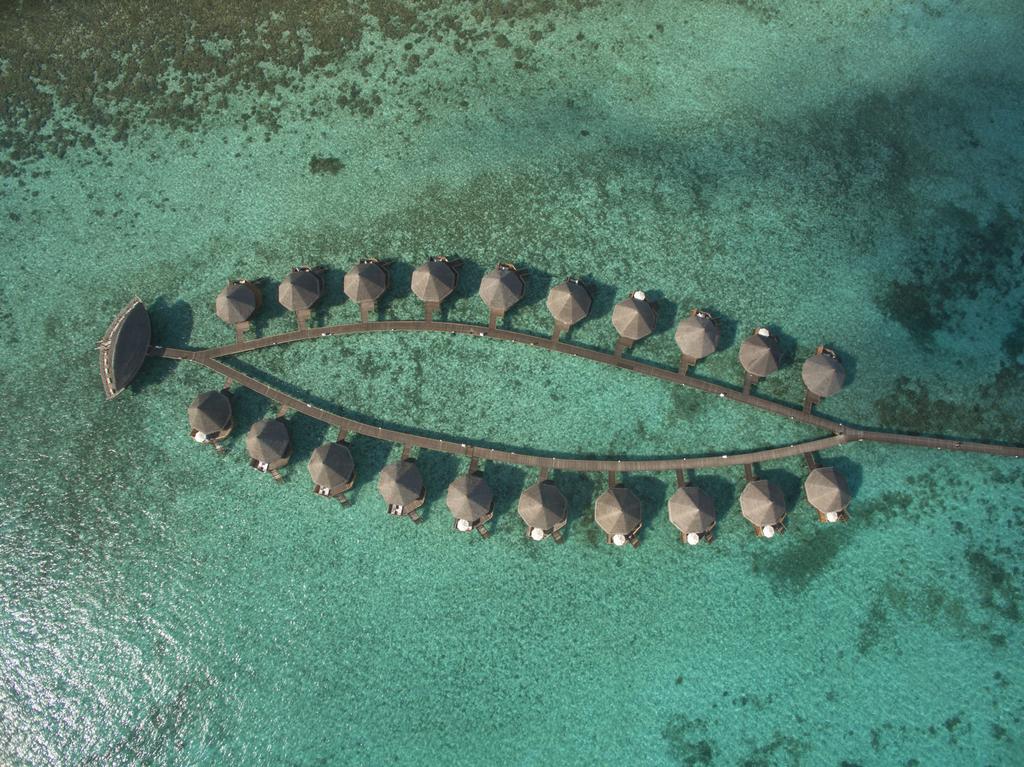 Angaga Island Resort & Spa Mandhoo — Арі (Аліфу) атол, Мальдіви мініатюра 20