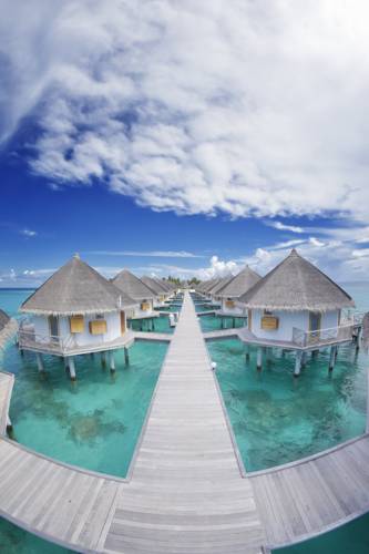Angaga Island Resort & Spa Mandhoo — Арі (Аліфу) атол, Мальдіви мініатюра 31