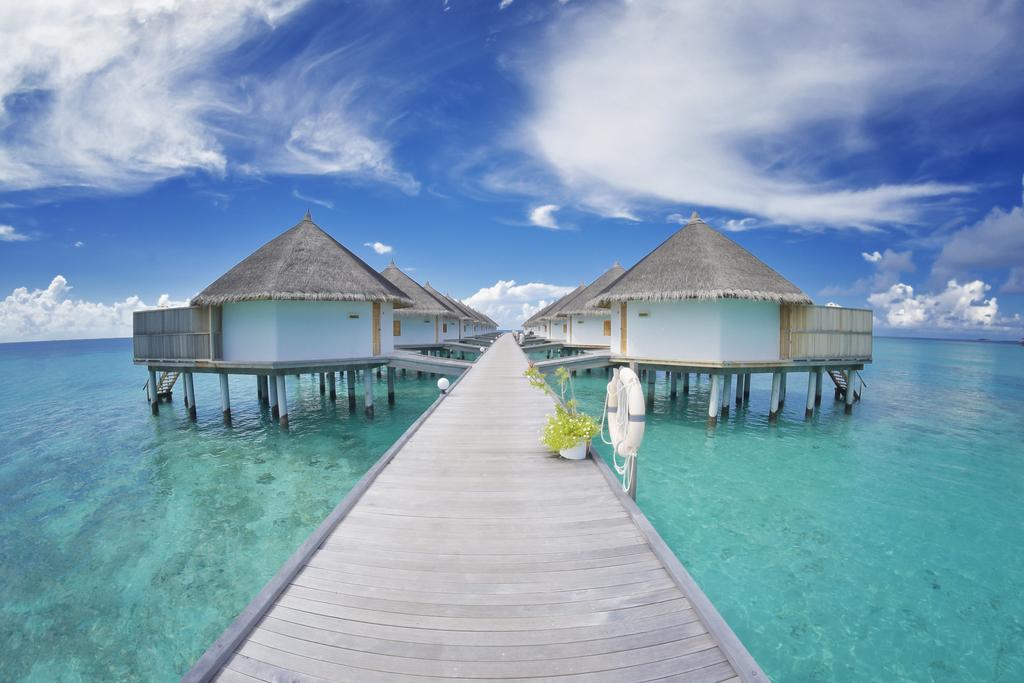 Angaga Island Resort & Spa Mandhoo — Арі (Аліфу) атол, Мальдіви мініатюра 32