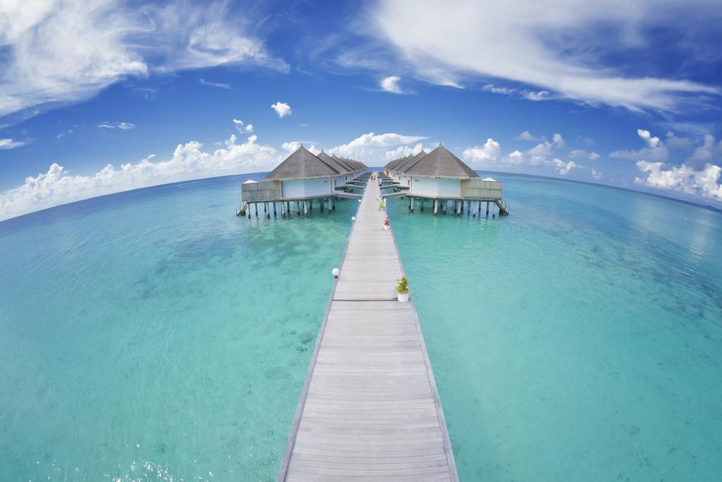 Angaga Island Resort & Spa Mandhoo — Арі (Аліфу) атол, Мальдіви мініатюра 33