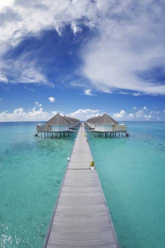 Angaga Island Resort & Spa Mandhoo — Арі (Аліфу) атол, Мальдіви мініатюра 34