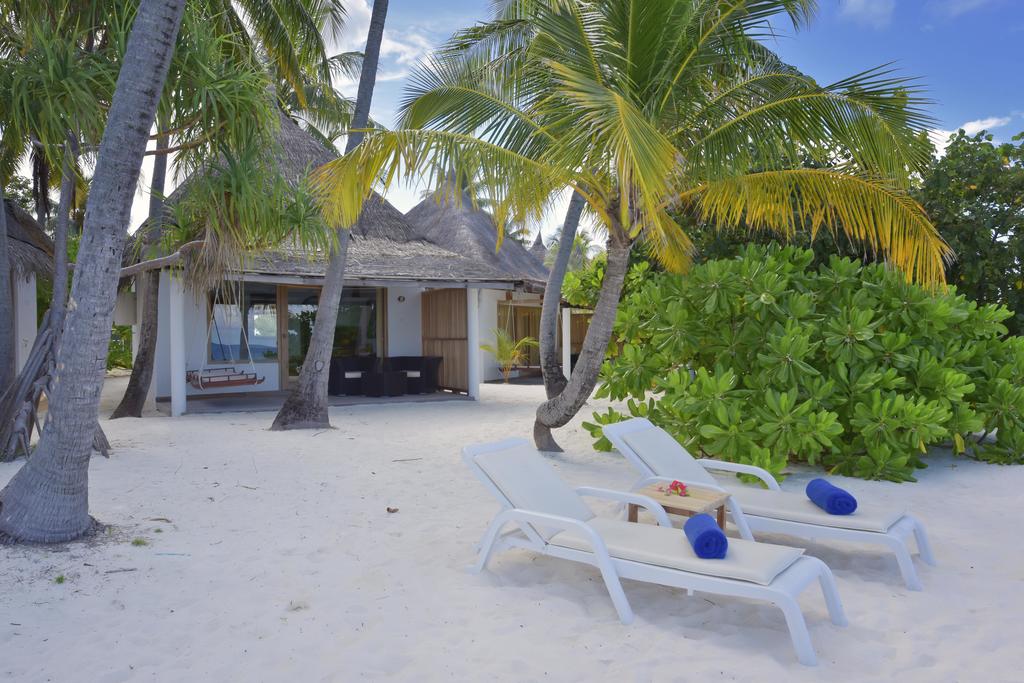 Angaga Island Resort & Spa Mandhoo — Арі (Аліфу) атол, Мальдіви мініатюра 41