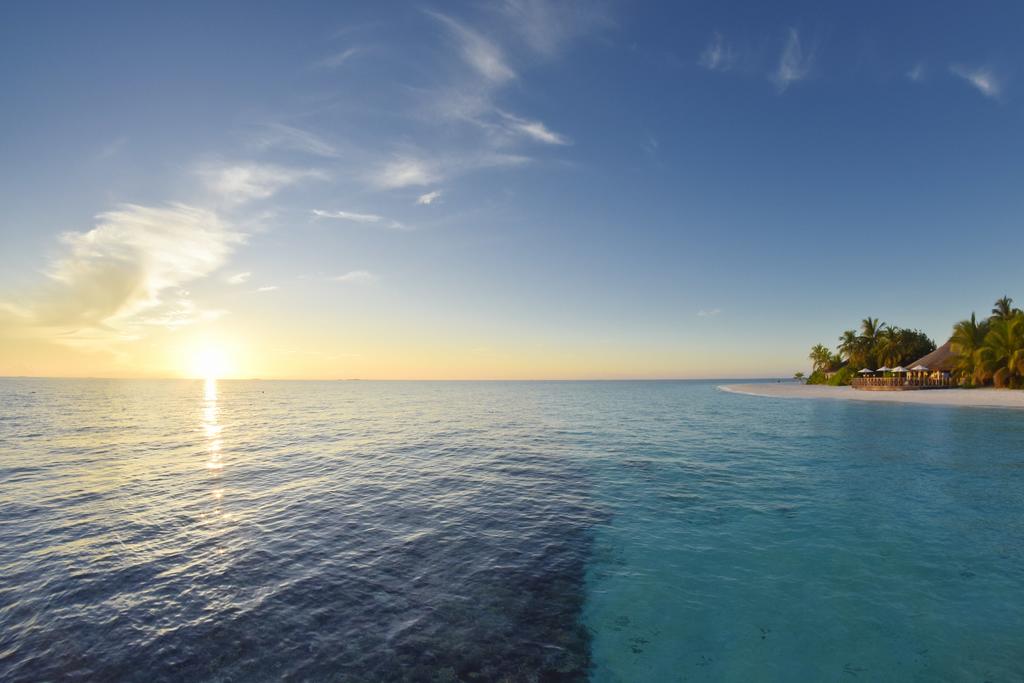Angaga Island Resort & Spa Mandhoo — Арі (Аліфу) атол, Мальдіви мініатюра 45