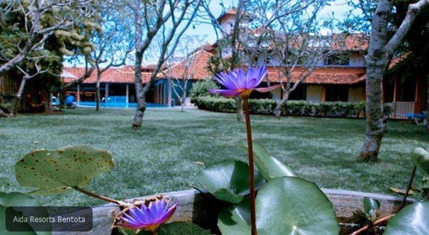 Aida Ayurveda Resort & Spa — Бентота, Шрі Ланка мініатюра 17