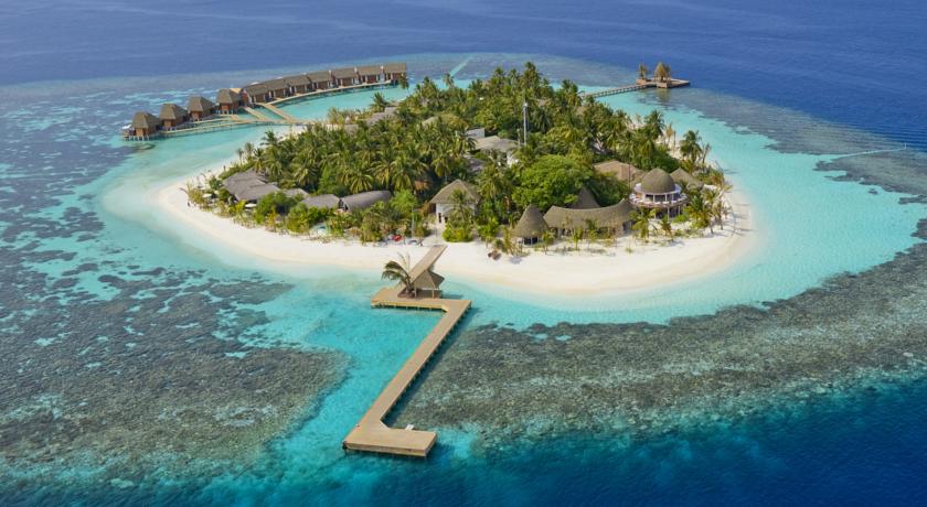 Kandolhu Maldives — Арі (Аліфу) атол, Мальдіви — фото 1