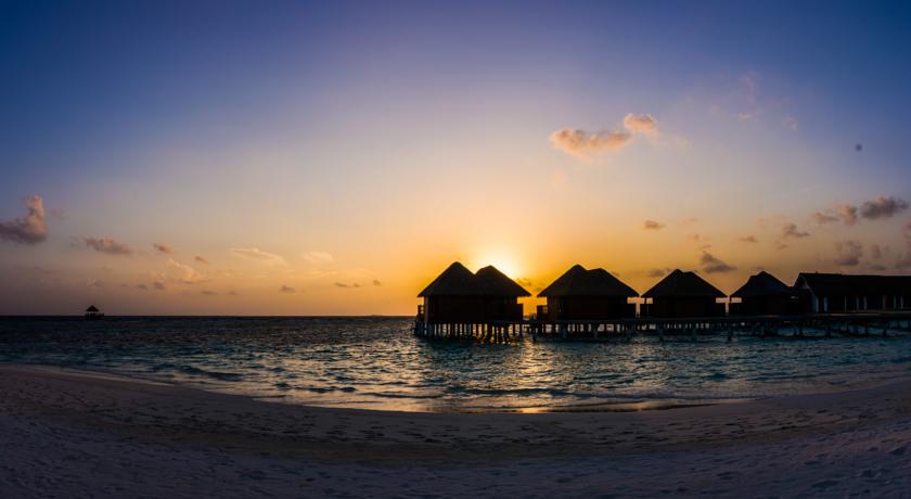 Kandolhu Maldives — Арі (Аліфу) атол, Мальдіви мініатюра 9