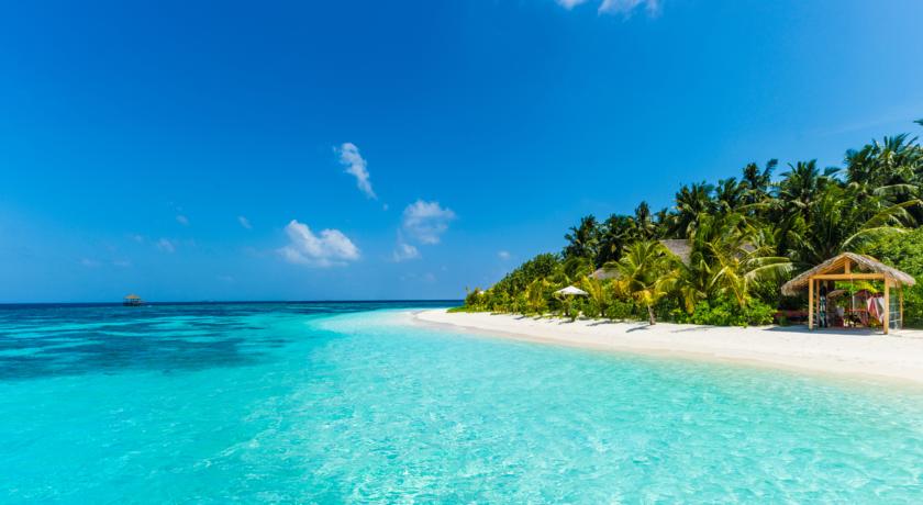Kandolhu Maldives — Арі (Аліфу) атол, Мальдіви мініатюра 10